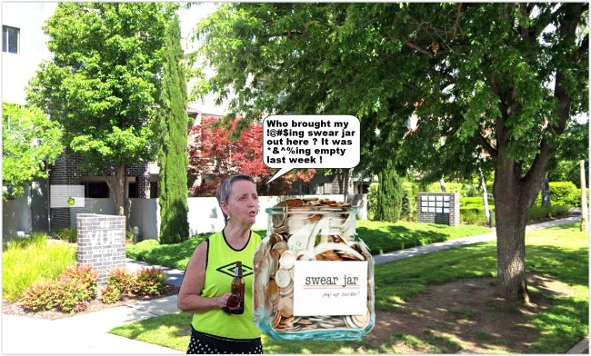 Kwine-SwearBox.jpg